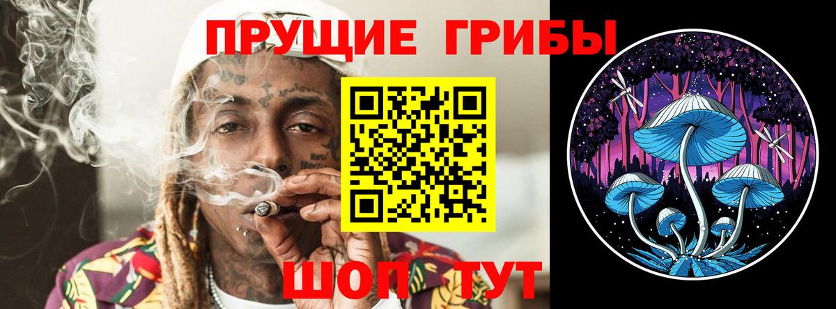 Рубцовск  Псилоцибиновые грибы MAGIC MUSHROOMS  Псилоцибиновые грибы MAGIC MUSHROOMS  Вход с VPN 